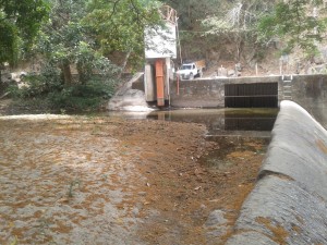 RIO MANZANARES 2